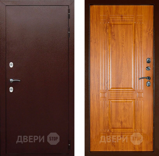 Входная металлическая Дверь Аргус Тепло-1 в Красногорск