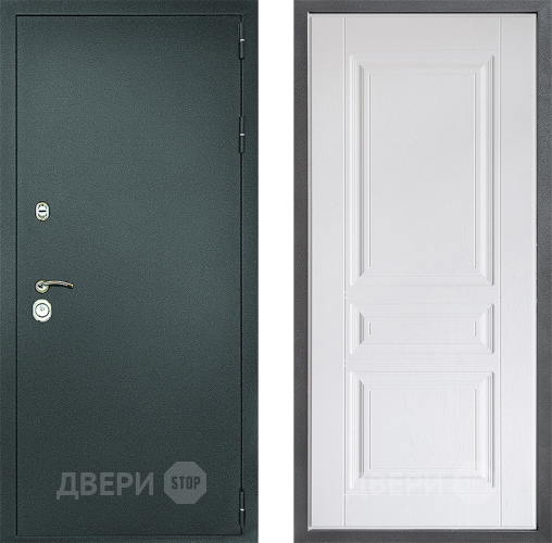 Входная металлическая Дверь Дверной континент Рубикон Серебро Дизайн ФЛ-243 Альберо Браш серебро в Красногорск
