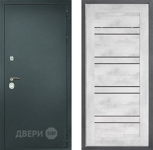 Входная металлическая Дверь Дверной континент Рубикон Серебро Дизайн ФЛ-49 Бетон снежный в Красногорск